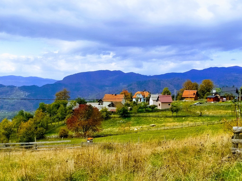 Sekulići Tara, malo efekta