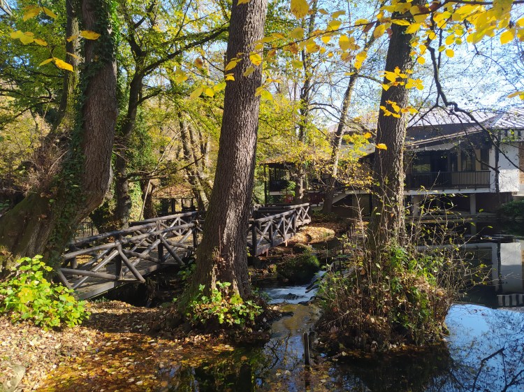 Reka Godina, Bajna Bašta